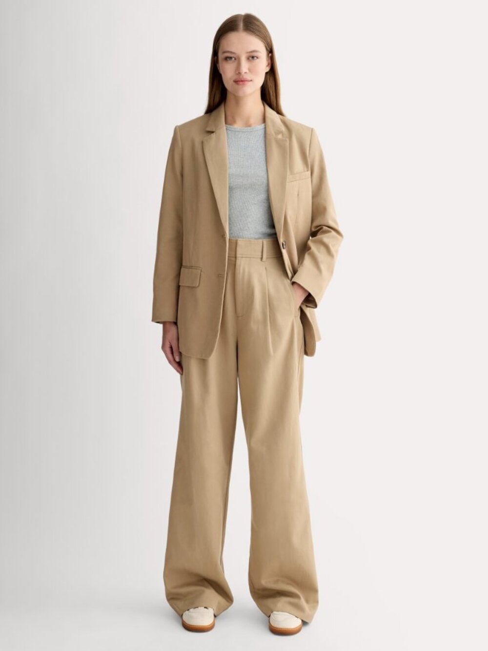 Everlane Women's Draper Pleated Pant in Buttersmooth in Ash Brown, Size 0